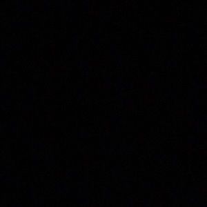 Meet your Posher, Reagan